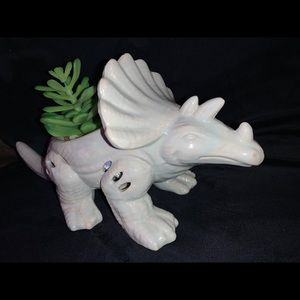 Triceratops planter with faux succulent.